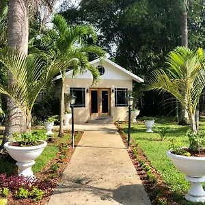 Coral Seas Garden Jamaica